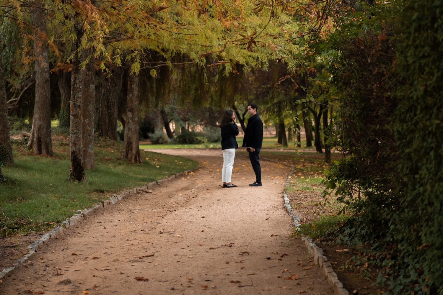Propuesta de matrimonio en Madrid en exterior, momento íntimo documentado con naturalidad