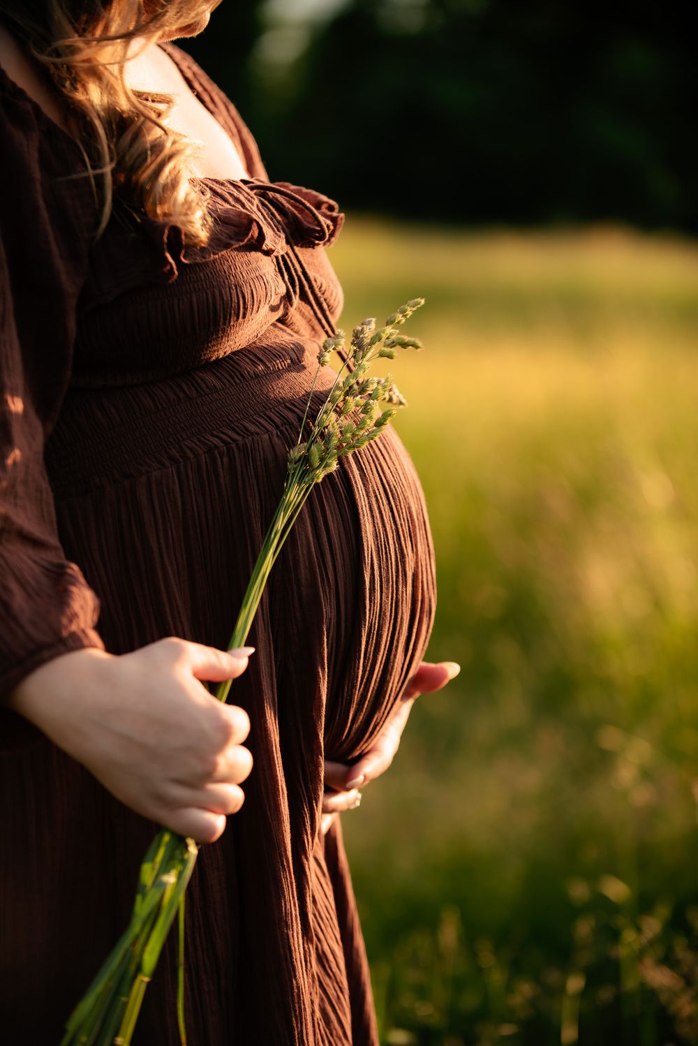 a picture of a pregnant belly in golden light using grasses to rest on it.