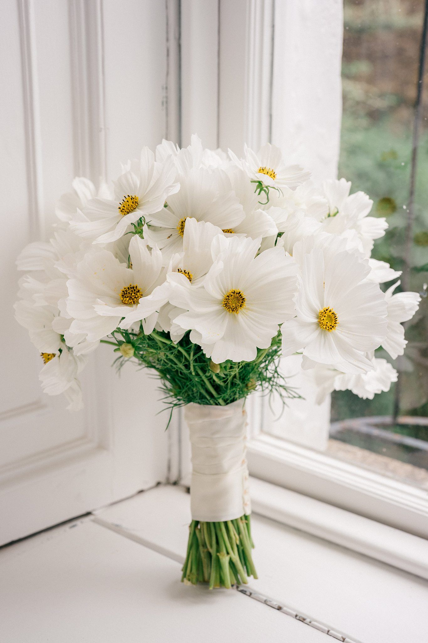 A series of white cosmos flowers arranged in a clear vase by a bright windowsill create a fresh and airy display.