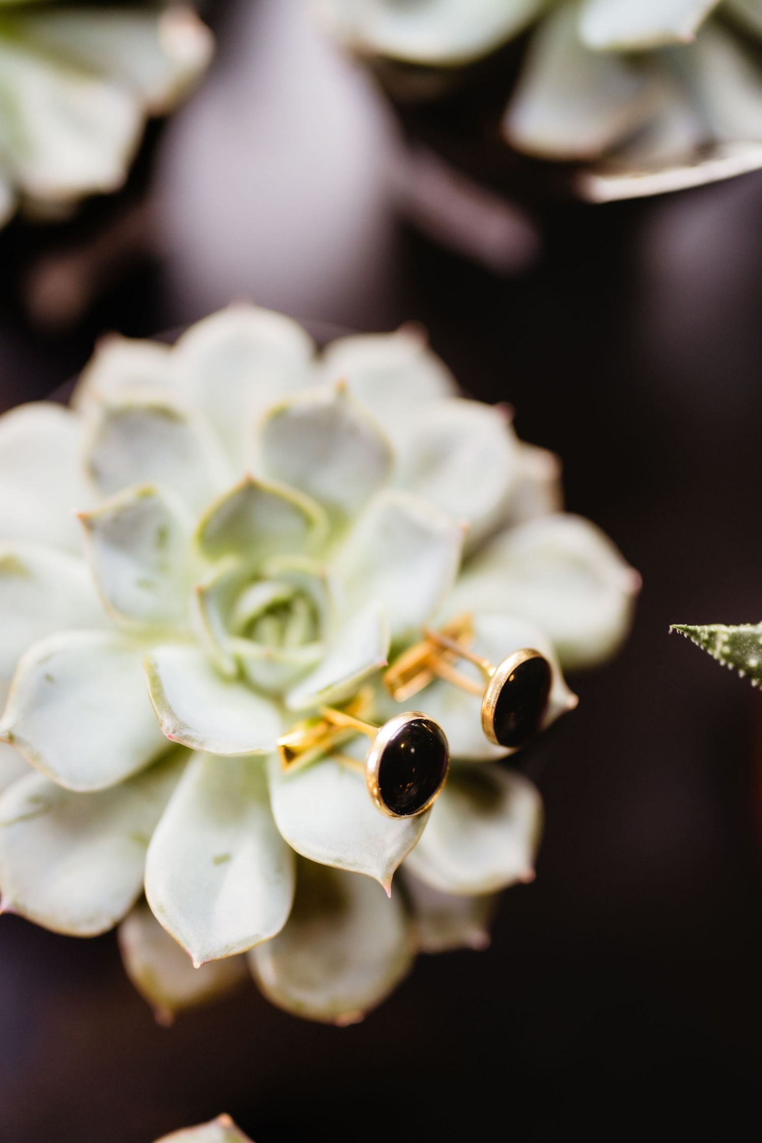 Gold cufflinks with black oval stones resting on a white succulent plant centerpiece.