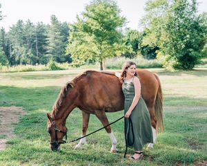Five connected photos showing peaceful scenes of horses grazing in a summer meadow with someone gently observing nearby.