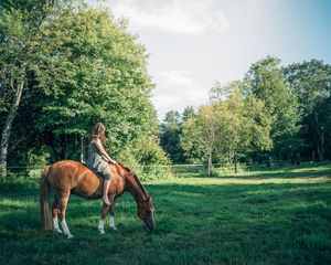 A horse grazes in a sunny green meadow surrounded by trees while being ridden on a summer afternoon.