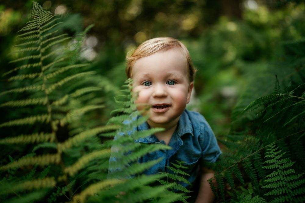 A young child peeks through green fern leaves in a lush forest setting during a photo session.