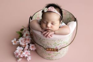 Sleeping newborn baby girl in floral bucket with pink crown headband surrounded by cherry blossoms on pink background.