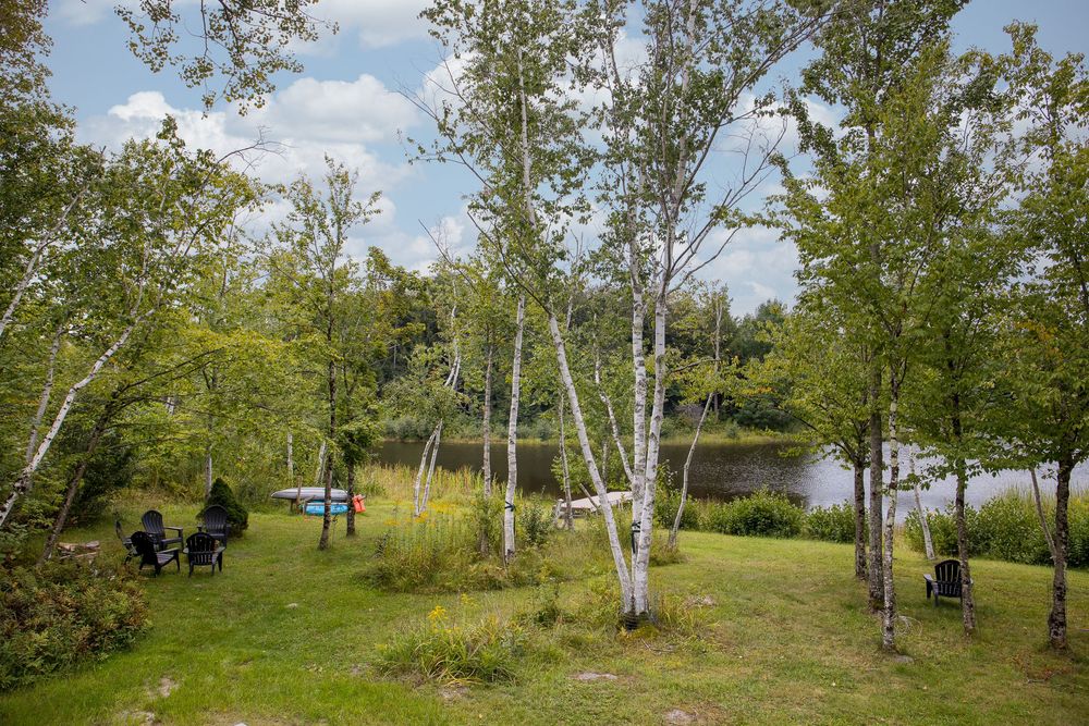 Adirondack chairs on green lawn surrounded by white birch trees with peaceful lake view.