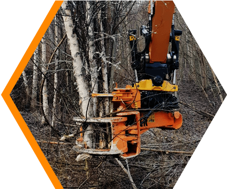 axer tree shear attachment for forestry and vegetation management