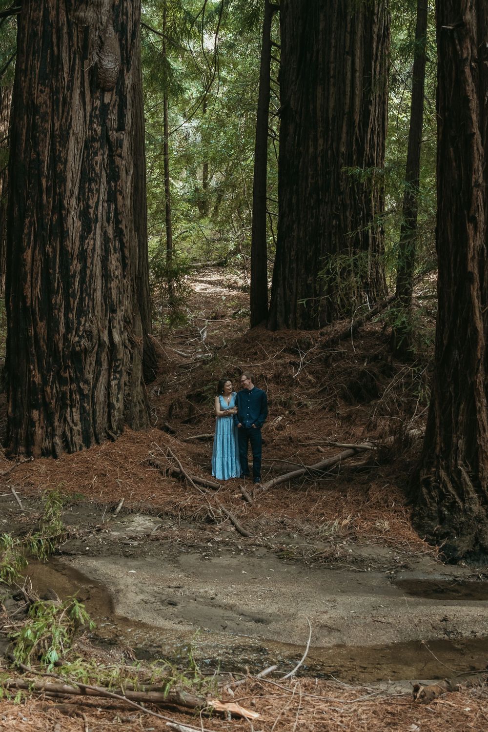 Couple embracing among towering redwood trees in a lush forest, woman in blue dress, man in dark suit.