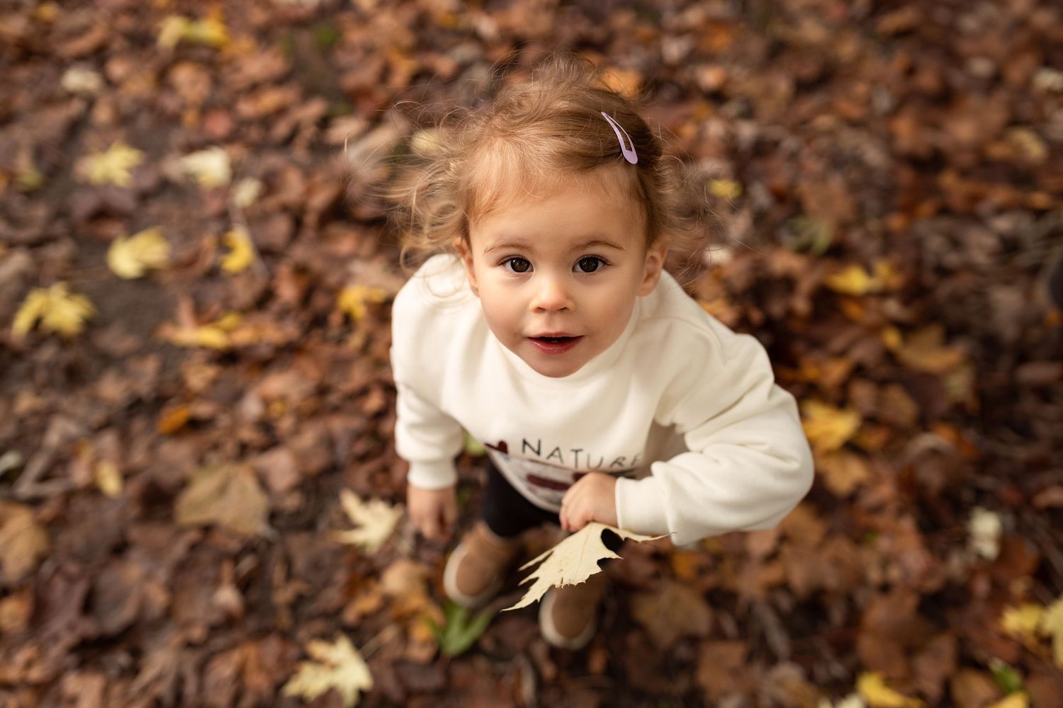 Toddler girl in white sweatshirt holding autumn leaf while sitting on fall foliage ground in outdoor park.