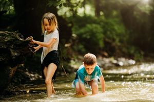 Two children playing in a shallow sunlit creek, splashing water among rocks and trees.