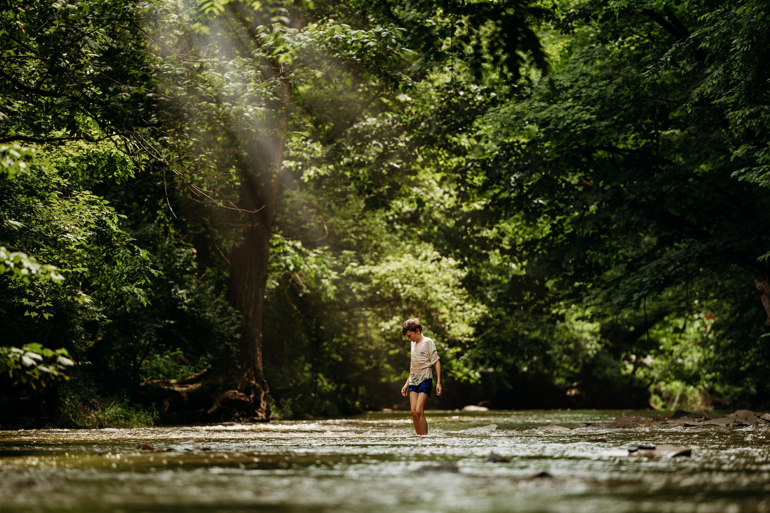 Person wading through a sunlit forest stream surrounded by lush green trees with rays of light filtering through the canopy.