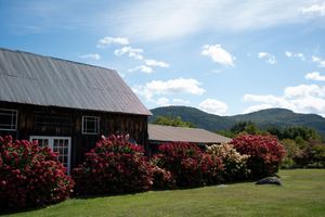 Rustic barn surrounded by vibrant red flowering bushes with green mountains and blue sky in background.