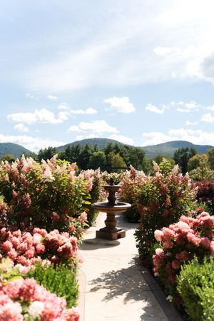 Elegant garden wedding venue with a stone fountain pathway lined with pink hydrangeas and mountain views.