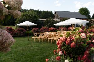 Outdoor wedding ceremony setup with wooden chairs, white umbrellas, and blooming pink hydrangeas on a lush green lawn.