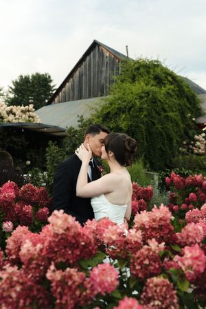 Bride and groom sharing a romantic kiss surrounded by pink hydrangeas outside a rustic barn venue.