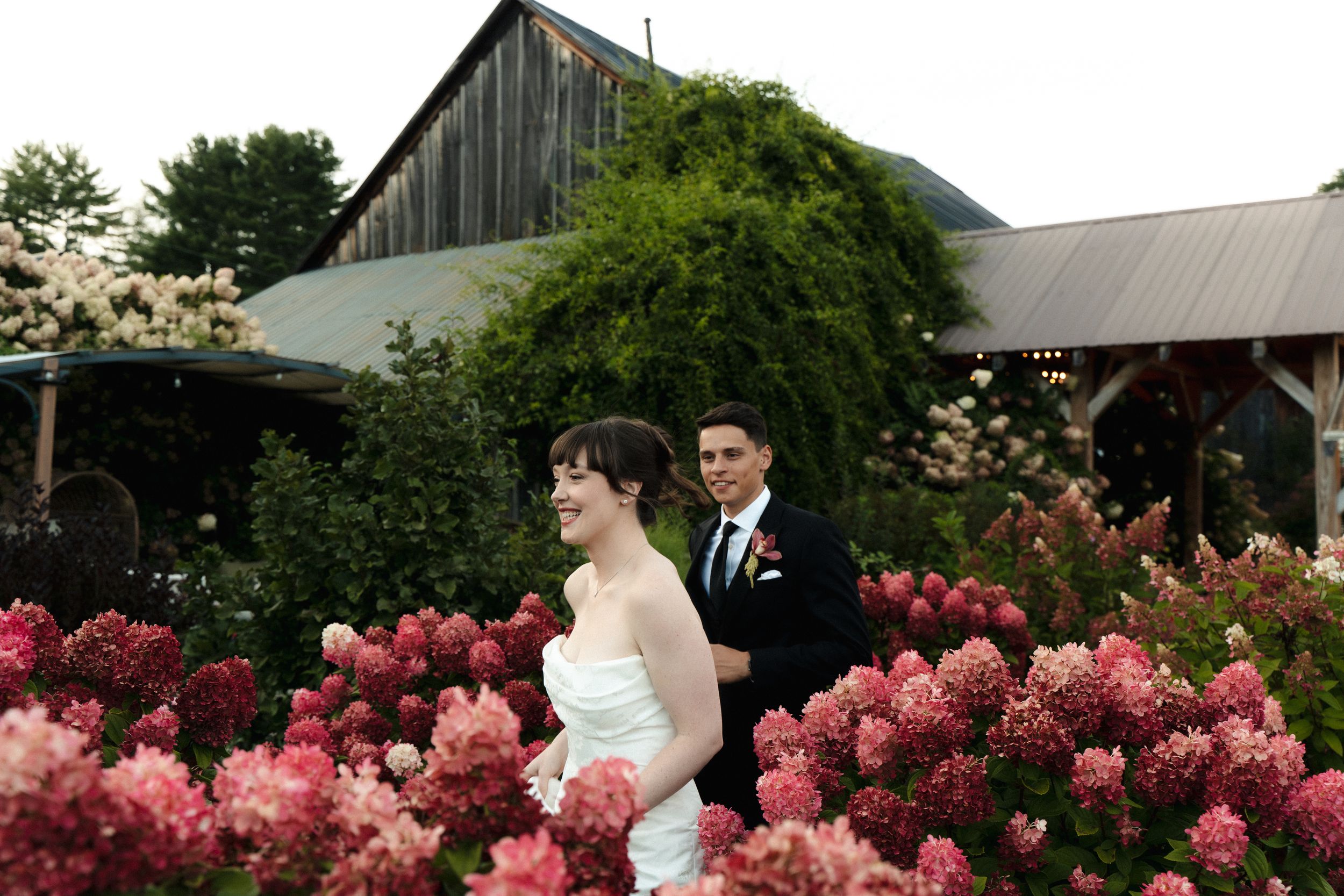 Bride and groom smile among pink hydrangeas with a rustic barn backdrop on their wedding day.