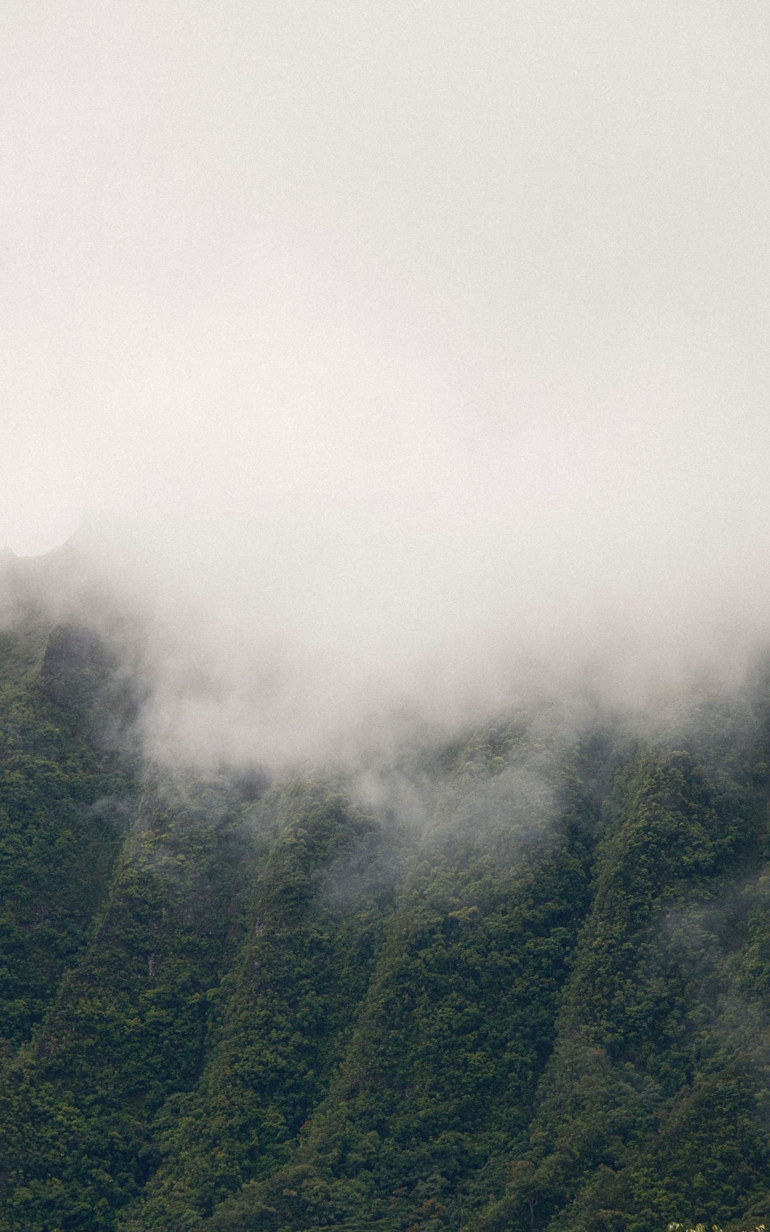 Misty clouds rolling over lush green forested mountain slopes in a moody, atmospheric landscape on Oahu, Hawaii.