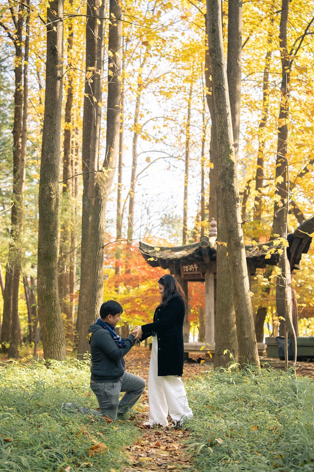 Man proposes on one knee to woman in autumn forest with golden leaves and traditional Asian pavilion backdrop.