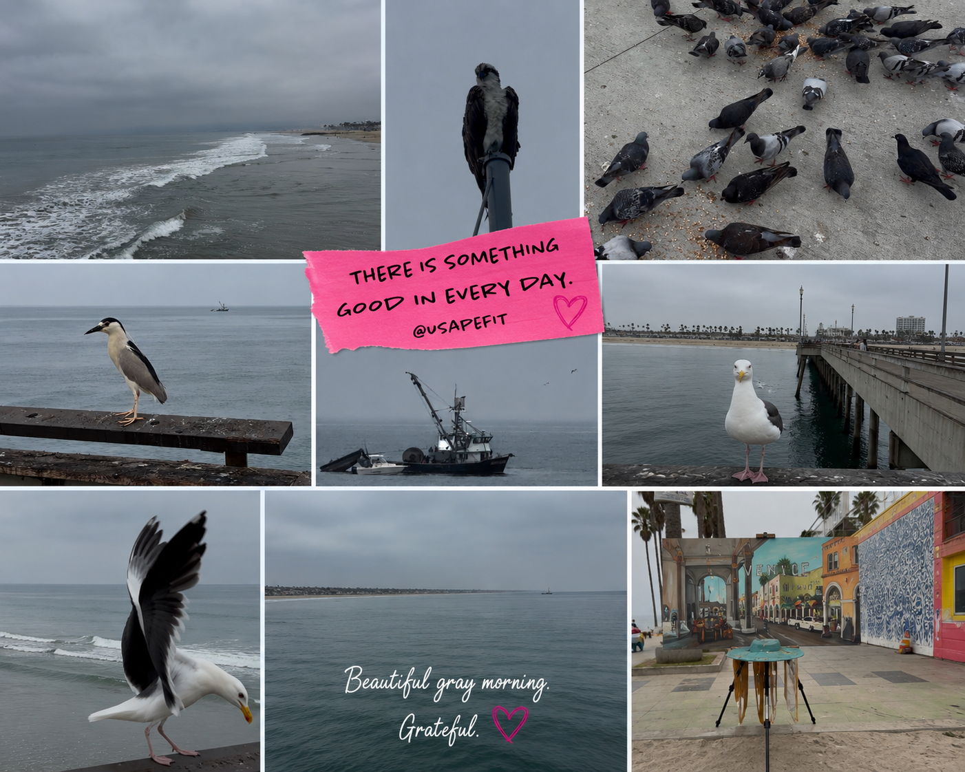 A gray morning collage of seagulls, pigeons, a pier, colorful murals, and a lone figure by the ocean with motivational text overlays.