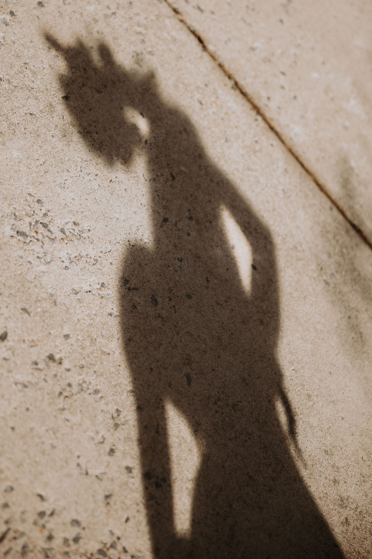 A dramatic shadow silhouette of a bride holding a bouquet cast on a stone surface in sunlight.
