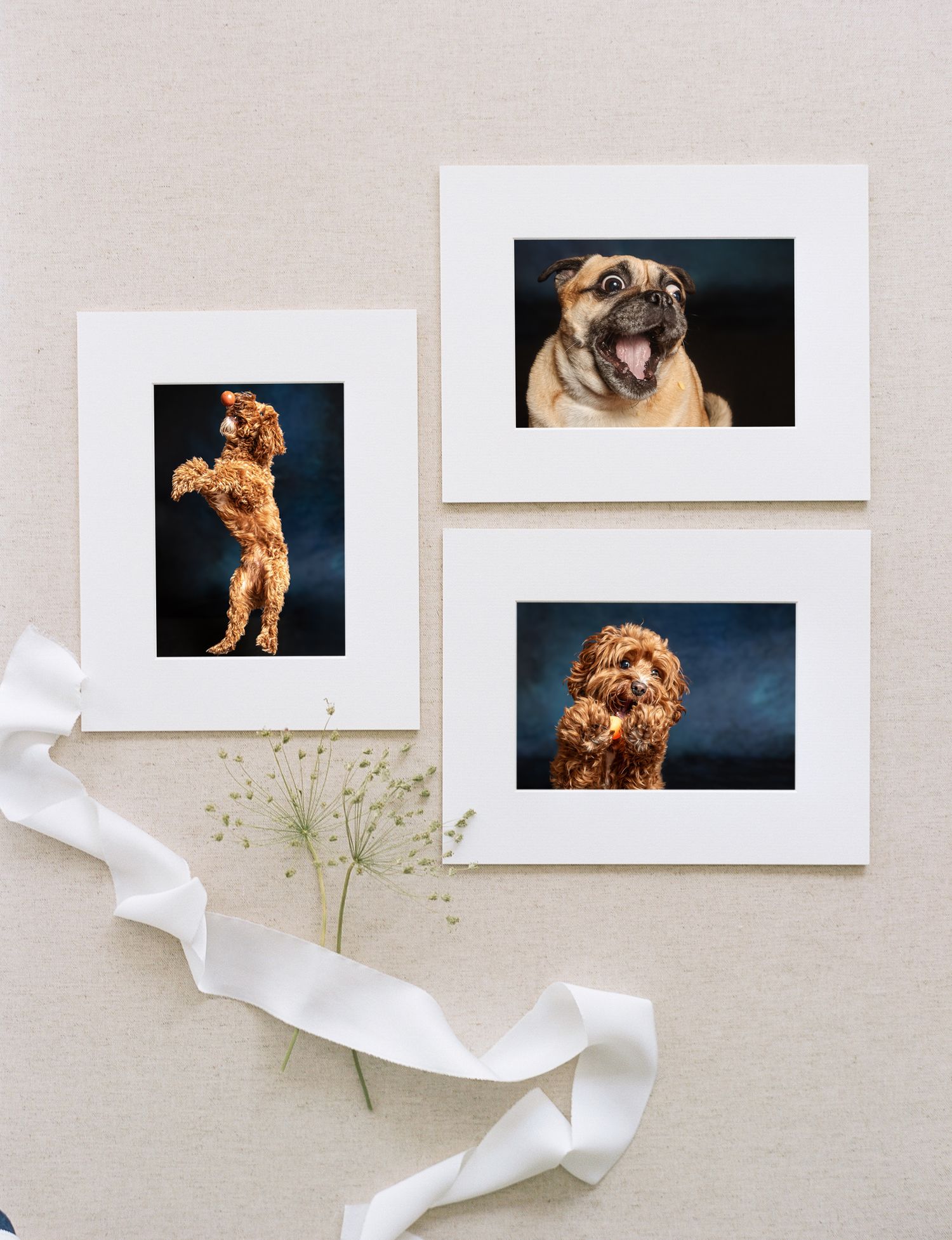 Canvas wall art print of an expressive pug dog with big eyes, displayed in a modern room with natural light and plants.