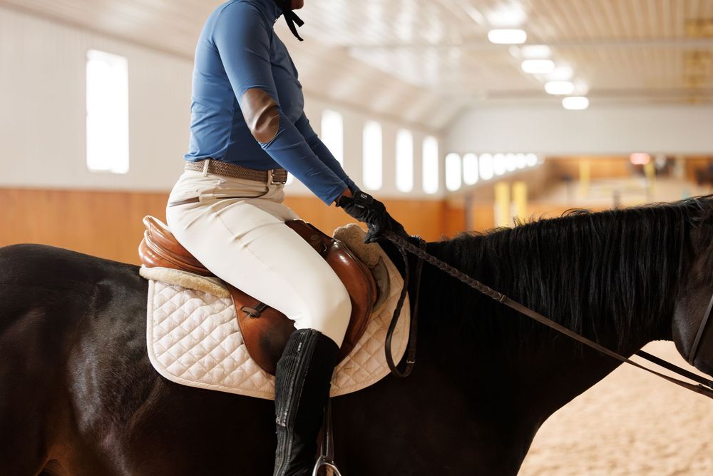 Equestrian rider in blue shirt and white breeches sitting on a black horse in an indoor arena.