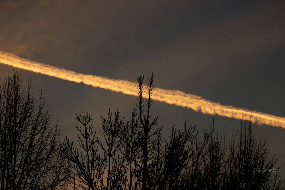 A glowing airplane contrail streaks across a dramatic sunset sky above bare trees.