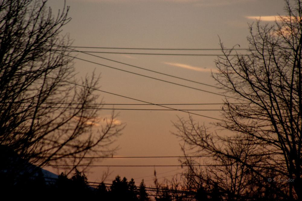 Bare trees silhouetted against a colorful sunset sky with power lines crossing the horizon.