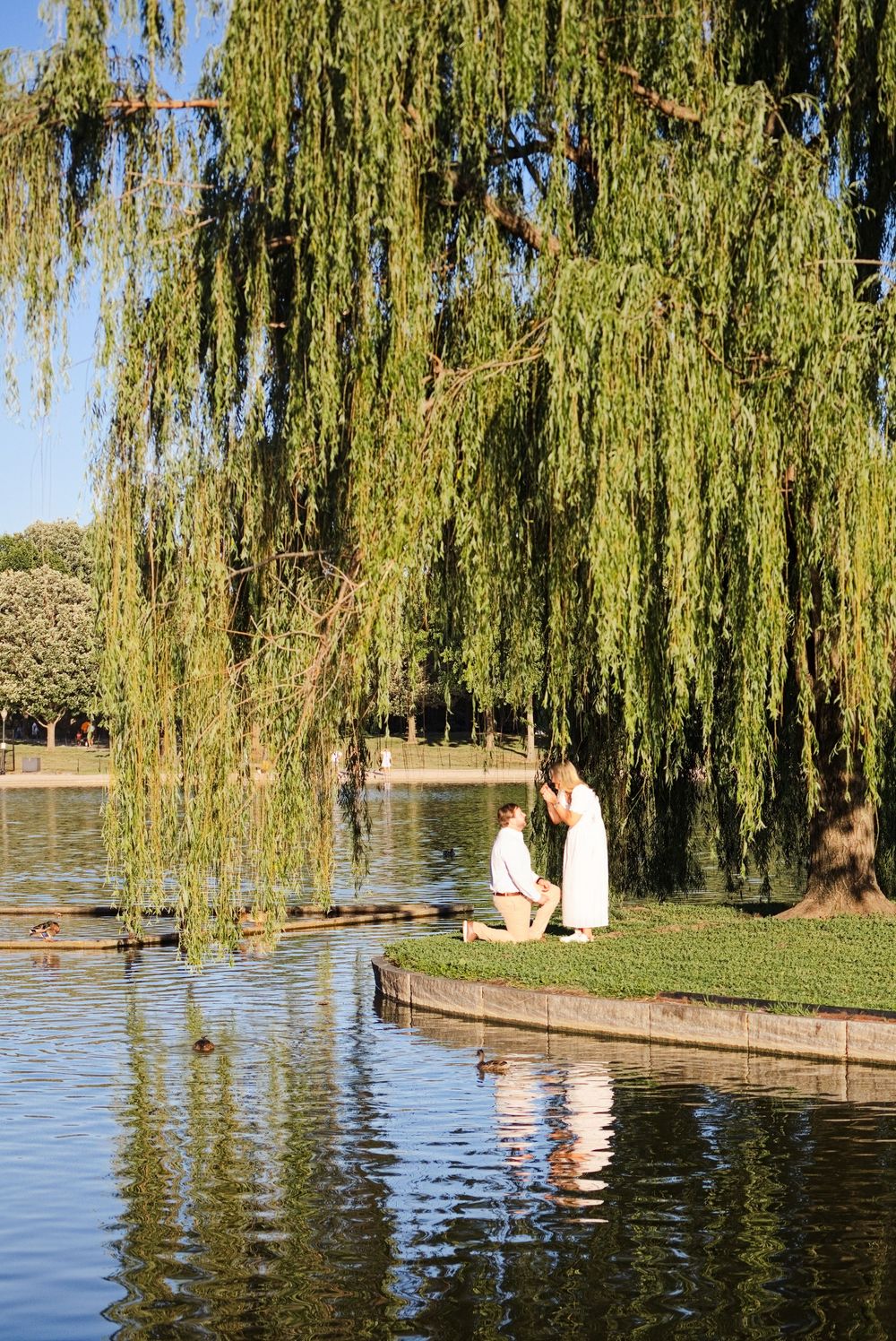 Man proposing on one knee to woman under weeping willow tree beside a serene park pond at golden hour.