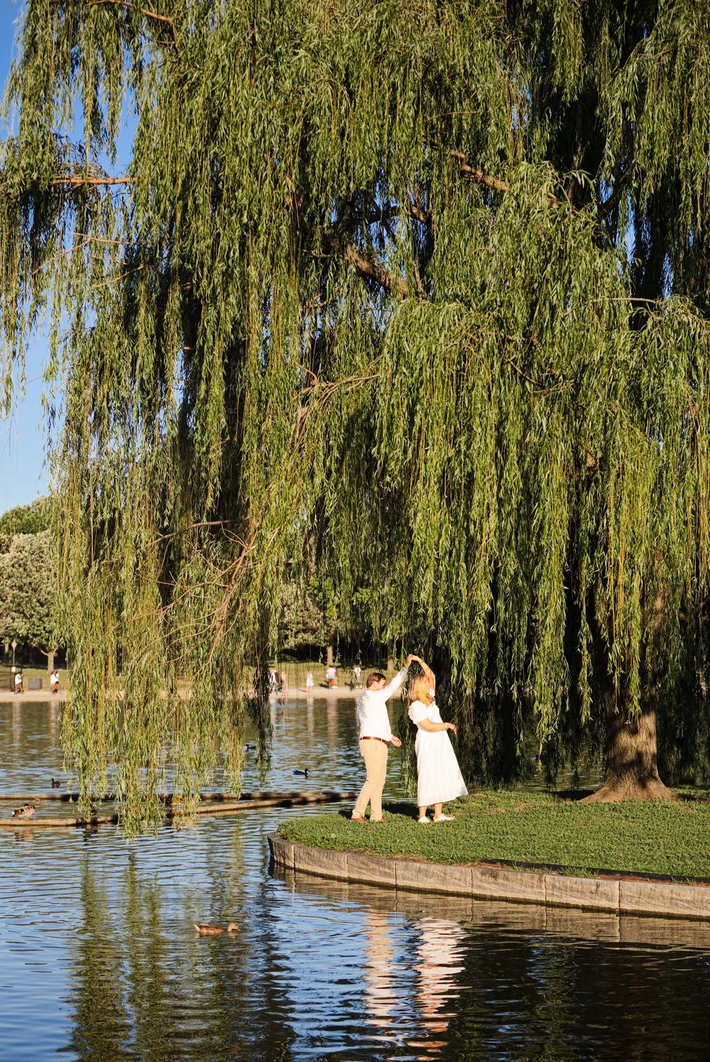 Couple dancing under a weeping willow tree by a serene pond in a lush green park on a sunny day.