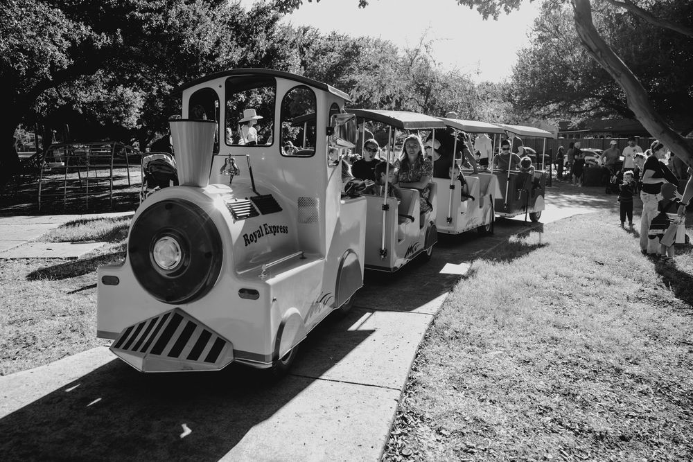 A small tourist train travels along a paved path through a sunny park in black and white.