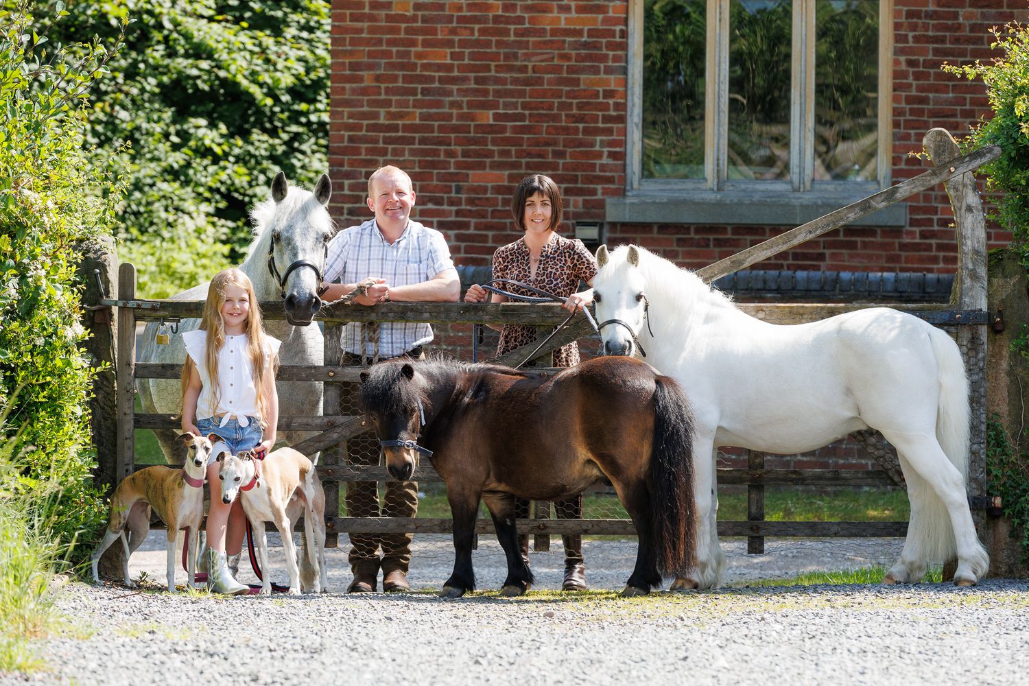 A horse and its rider enjoy an outdoor photoshoot session near rustic wooden fencing on a sunny day.