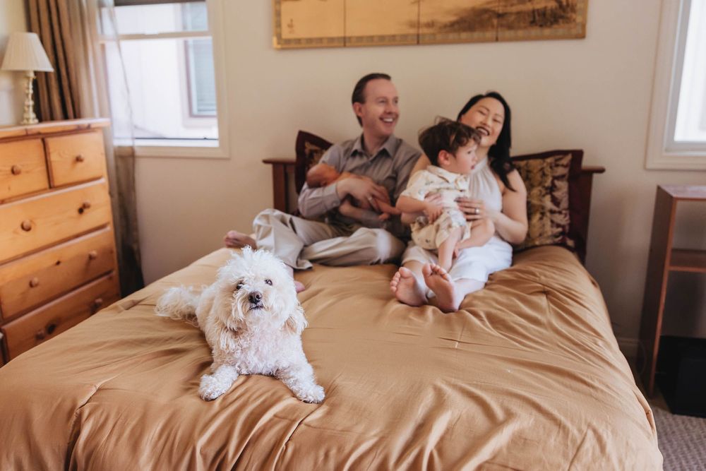 Family with baby and white dog relaxing on a bed in a cozy bedroom, sharing a joyful moment together.