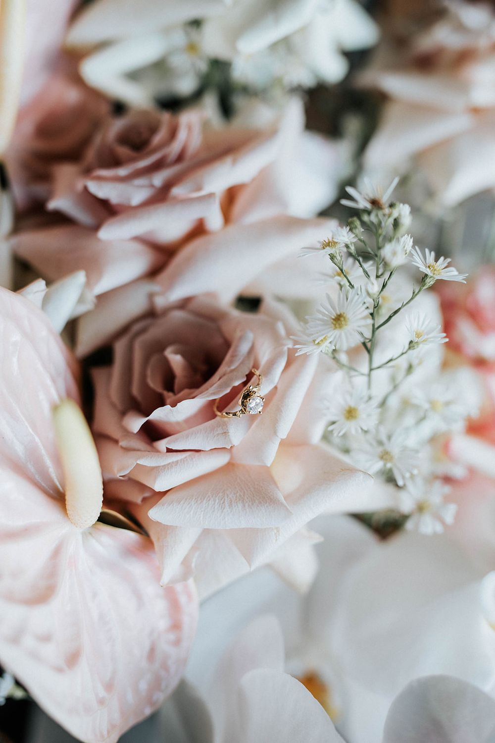 Soft blush pink roses and white daisies arranged in an elegant wedding bouquet with delicate anthurium flowers.