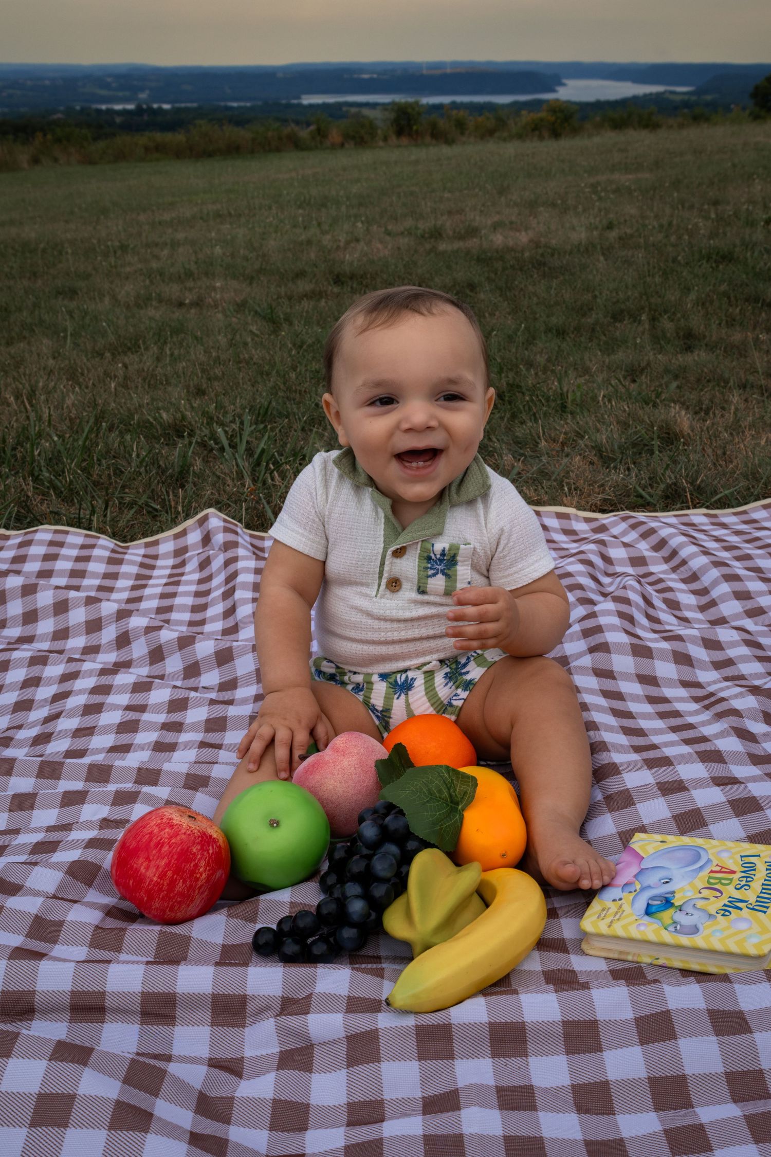 Happy baby sitting on a plaid blanket outdoors with colorful fruits and a book, smiling at a scenic hilltop.