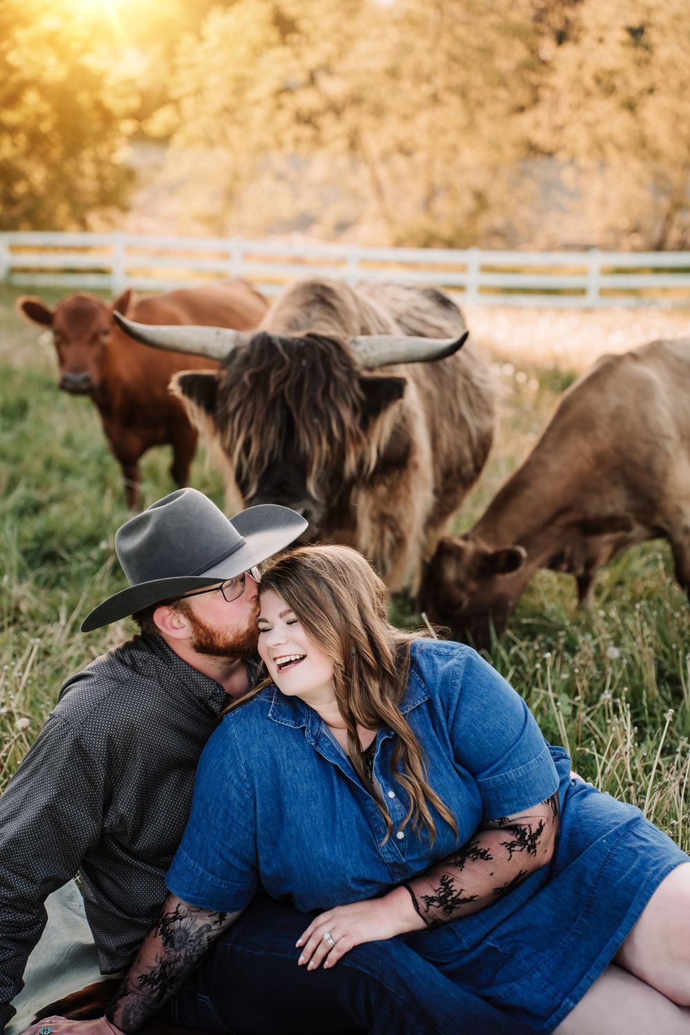 Couple sitting in a field laughing with Highland cattle grazing behind them at golden hour on a farm.