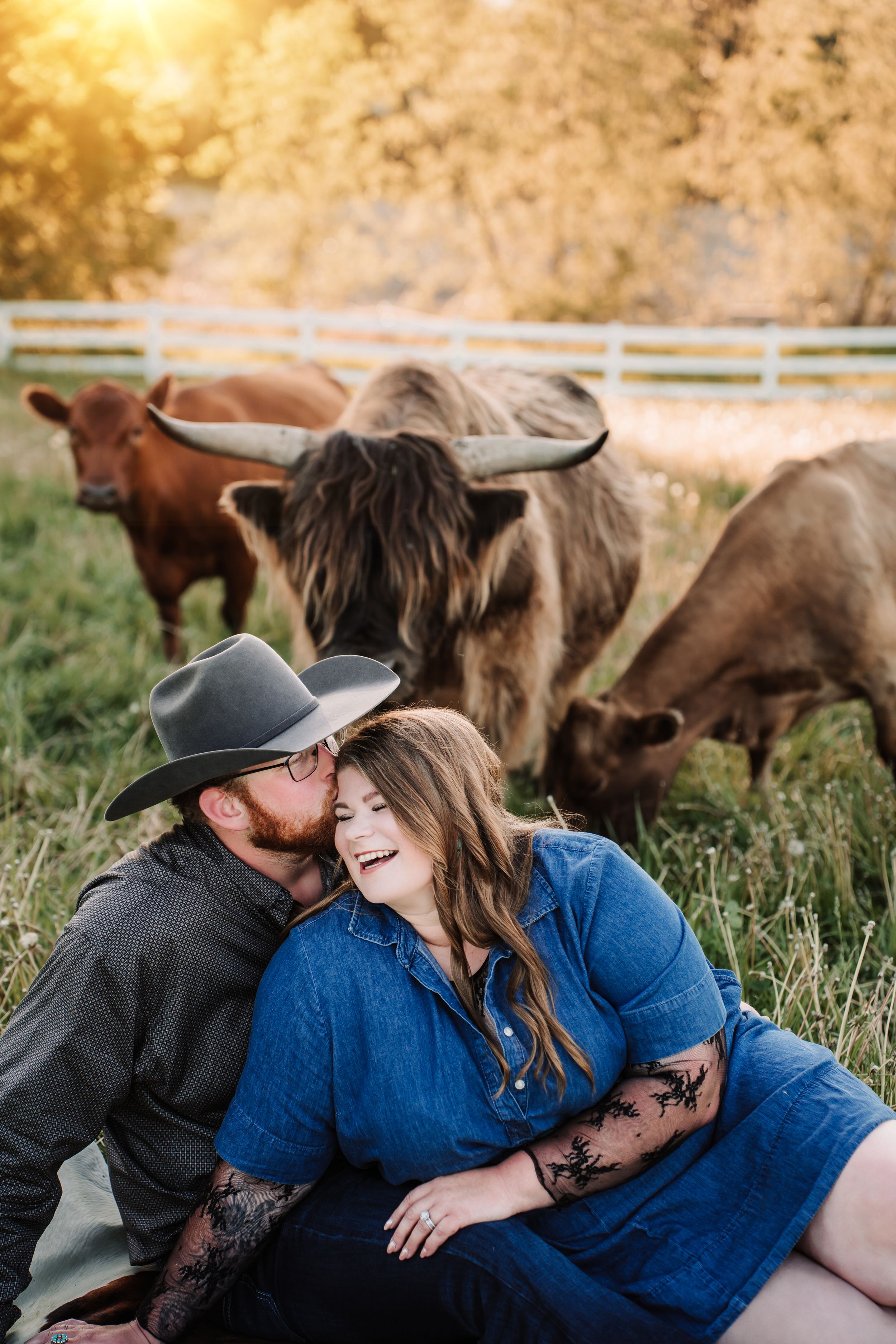 Couple sitting in a field laughing with Highland cattle grazing behind them at golden hour on a farm.