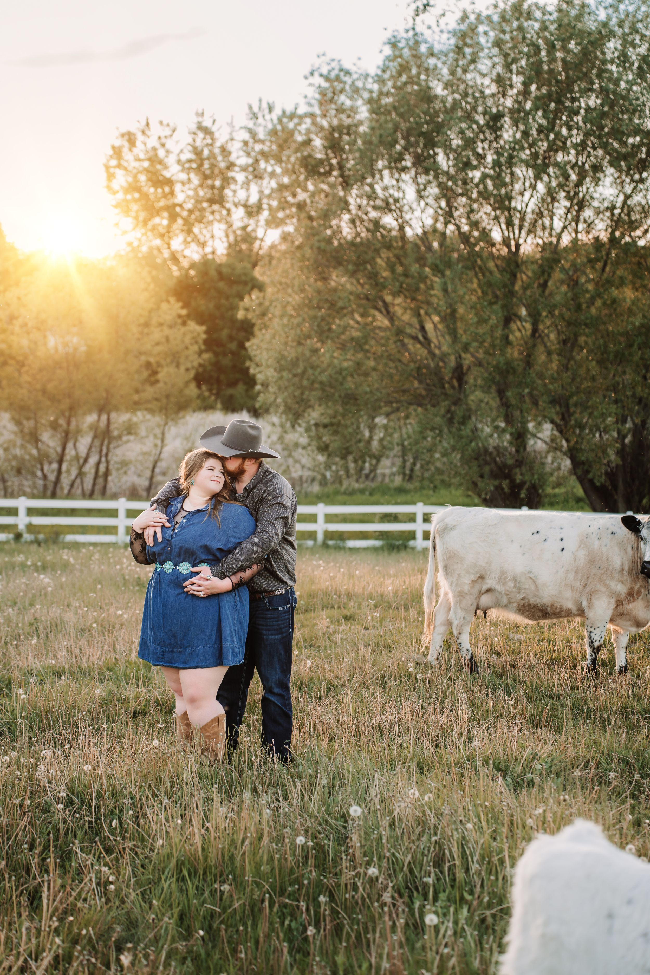 Couple embracing in golden sunset light on a farm, wearing cowboy hats and boots, with white cows grazing nearby.