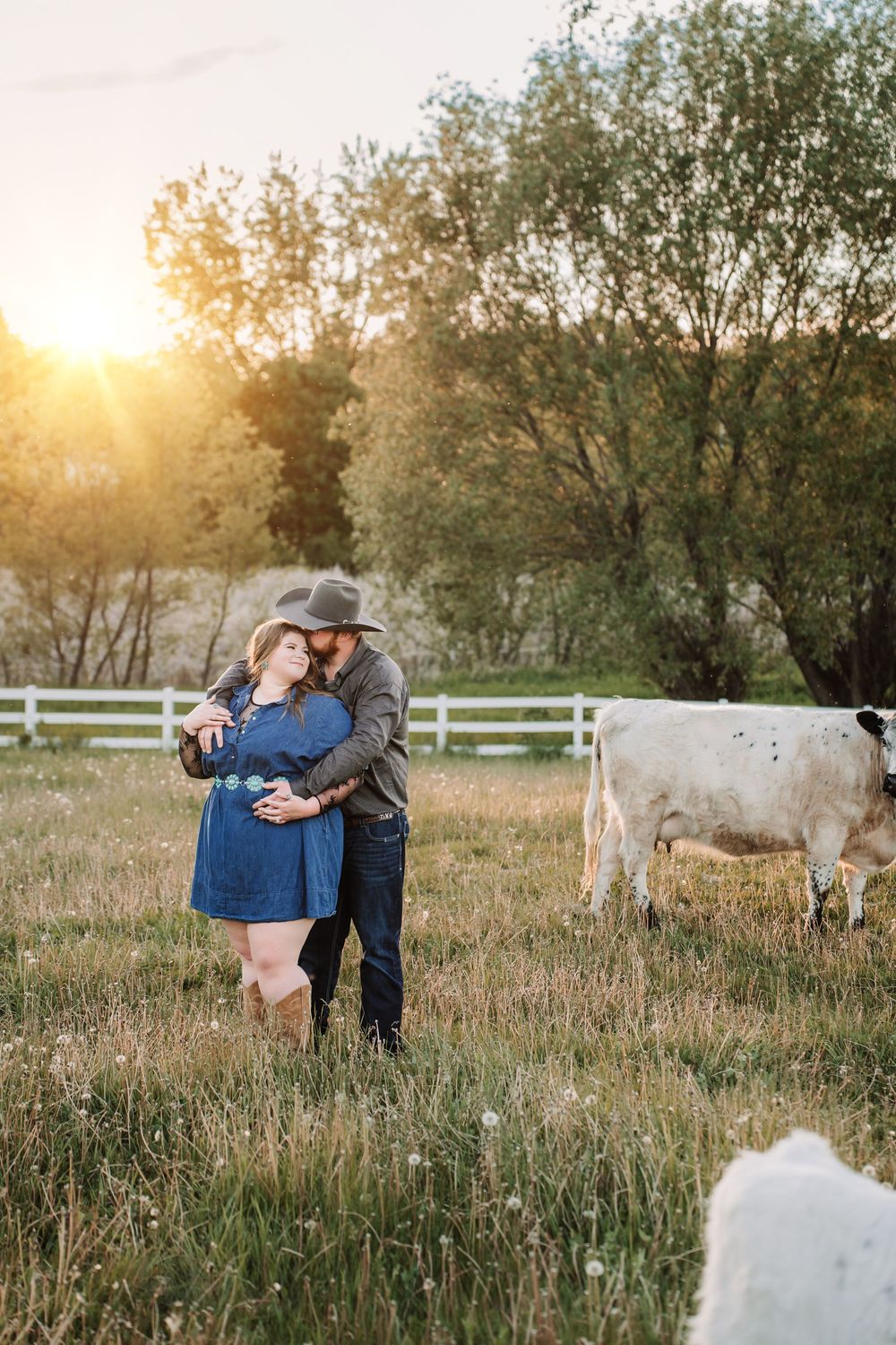 Couple embracing in golden sunset light on a farm, wearing cowboy hats and boots, with white cows grazing nearby.