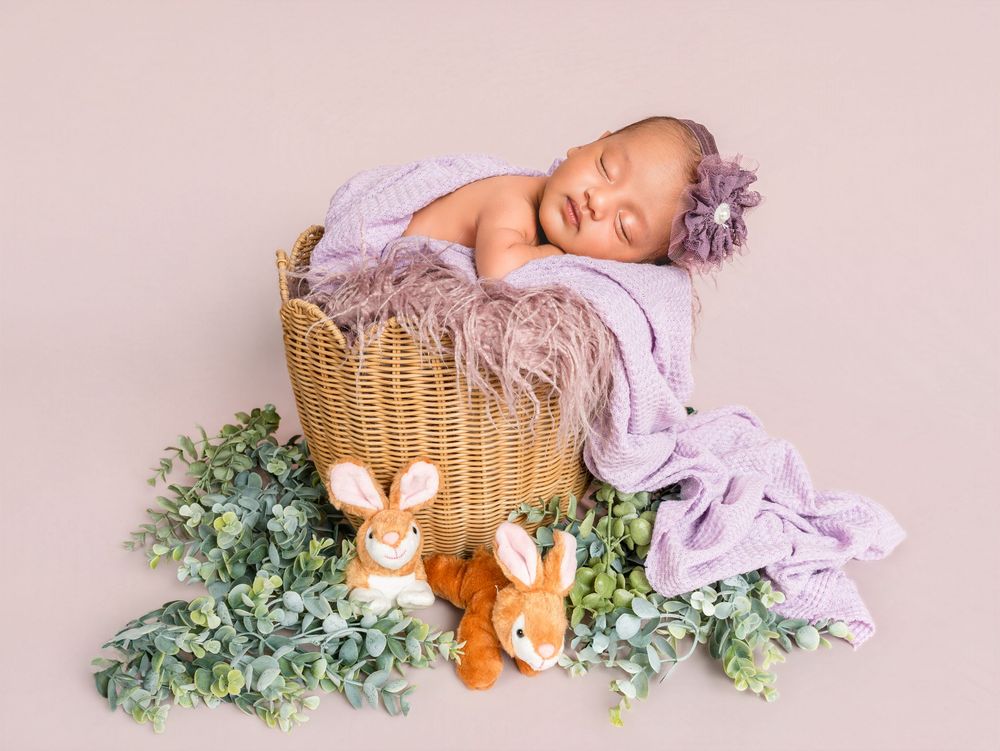 Newborn baby sleeping in a wicker basket with lavender wrap, bunny toys, and greenery in a soft studio portrait.