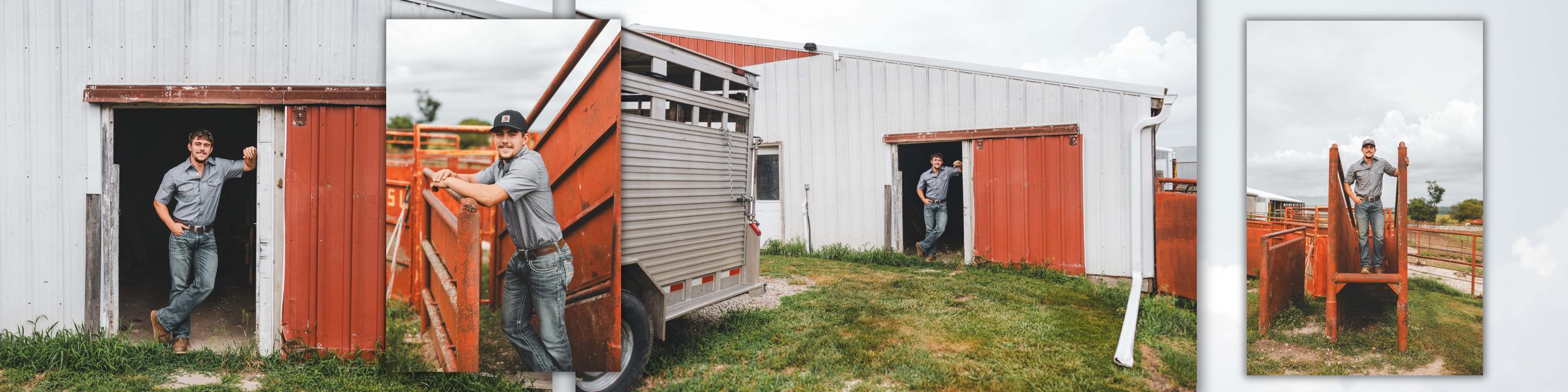 Workers unloading livestock from a red and white horse trailer near a red barn using a metal loading ramp.