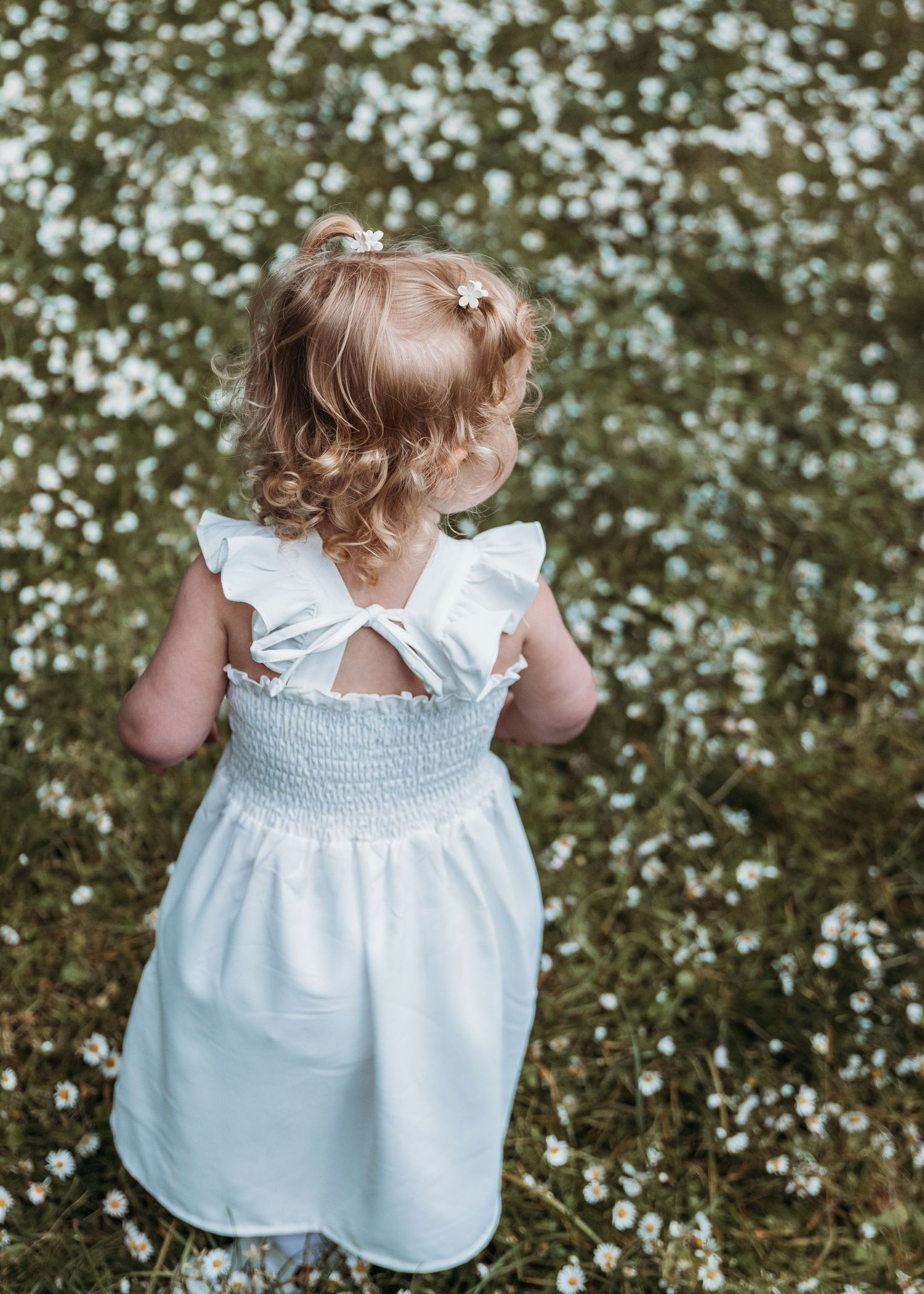 Toddler girl with curly strawberry-blonde hair in a white smocked sundress with a bow back, standing in a meadow of tiny white daisies.