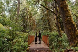 Couple exchanging vows on a wooden bridge surrounded by lush, moss-covered trees in a forest.
