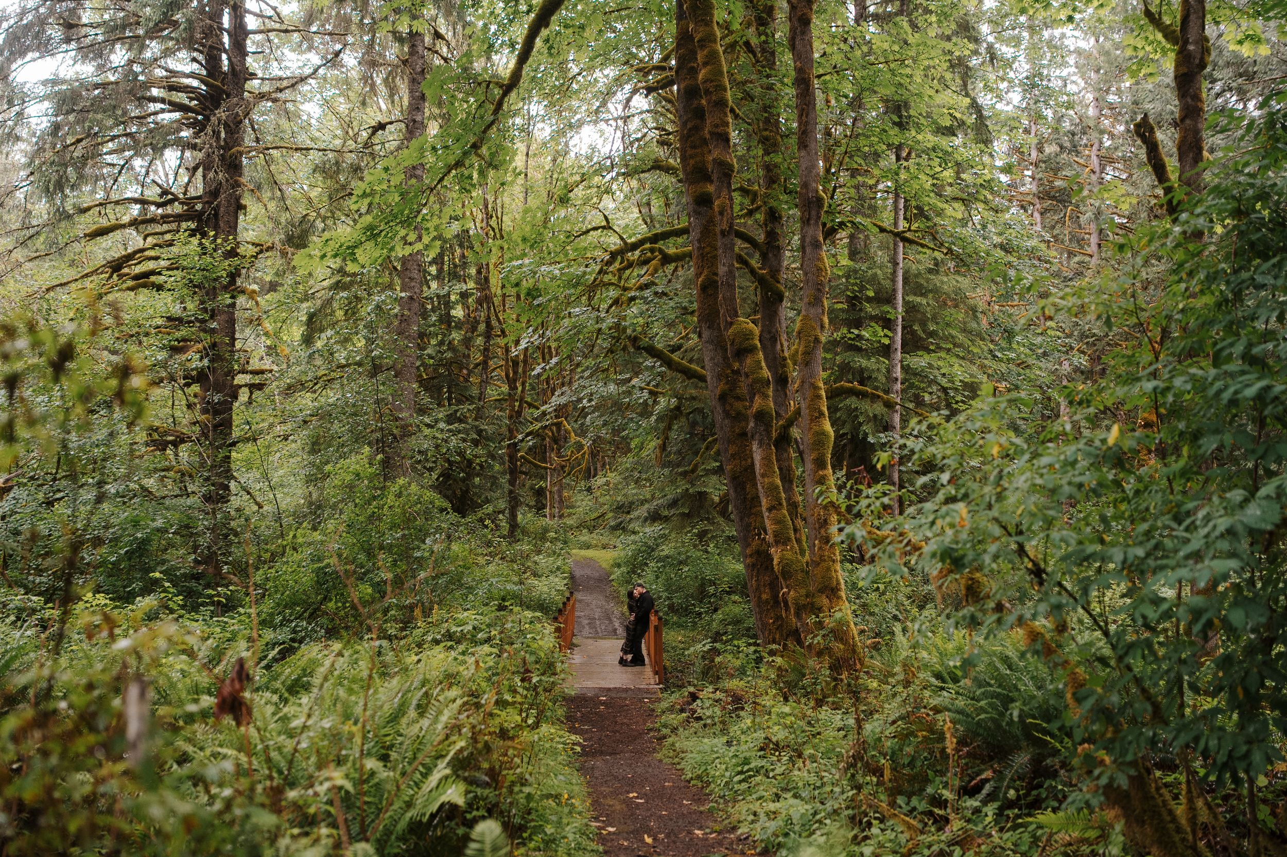 A hiker walks along a wooden boardwalk trail through a lush, moss-covered old-growth forest with towering trees.