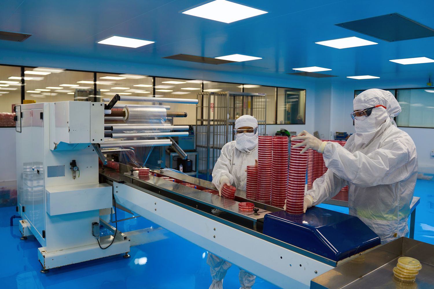 Proceso de empaque de cajas Petri en planta química con personal en área de producción