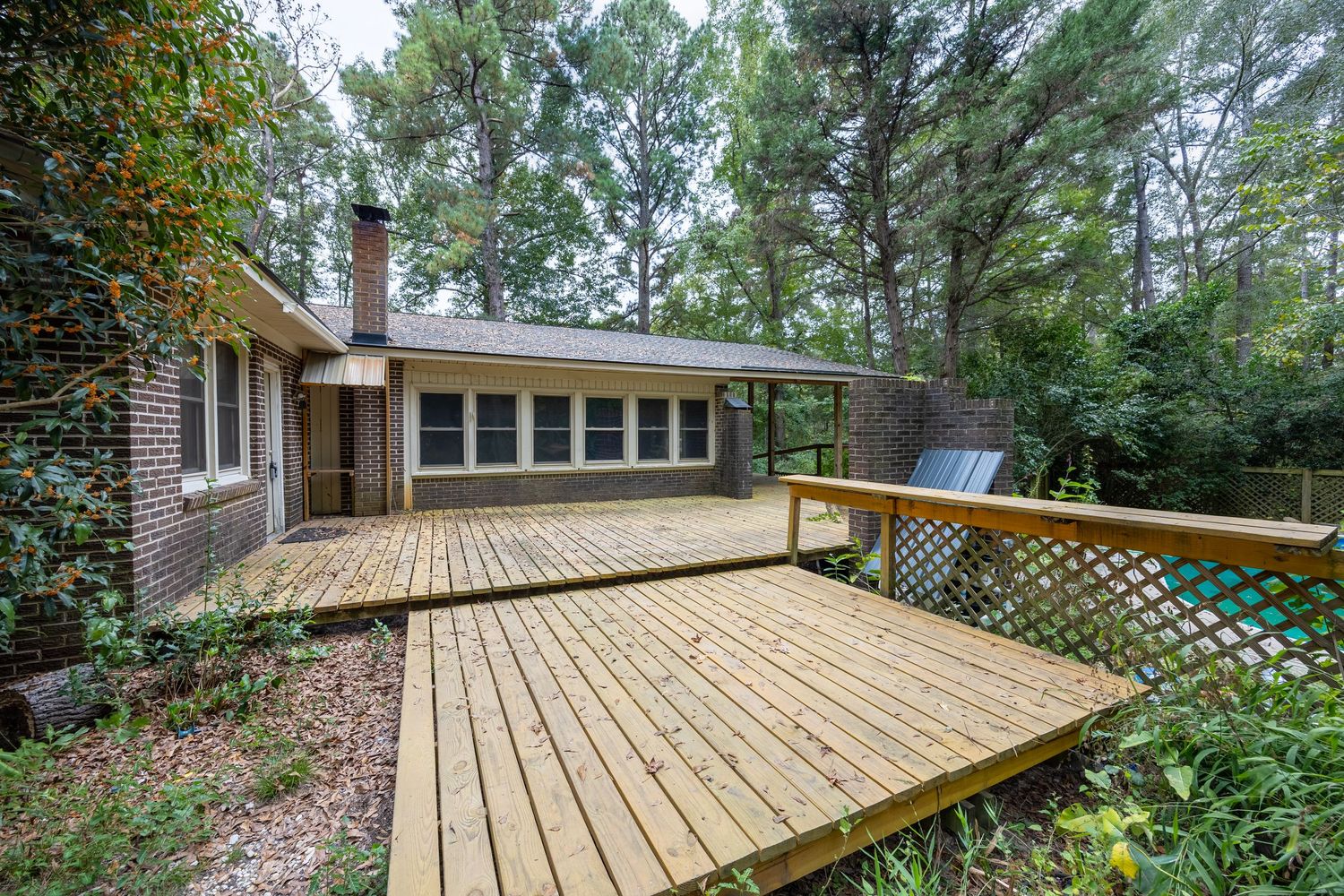 Wooden deck with lattice railing attached to brick home surrounded by tall pine trees in a wooded backyard.