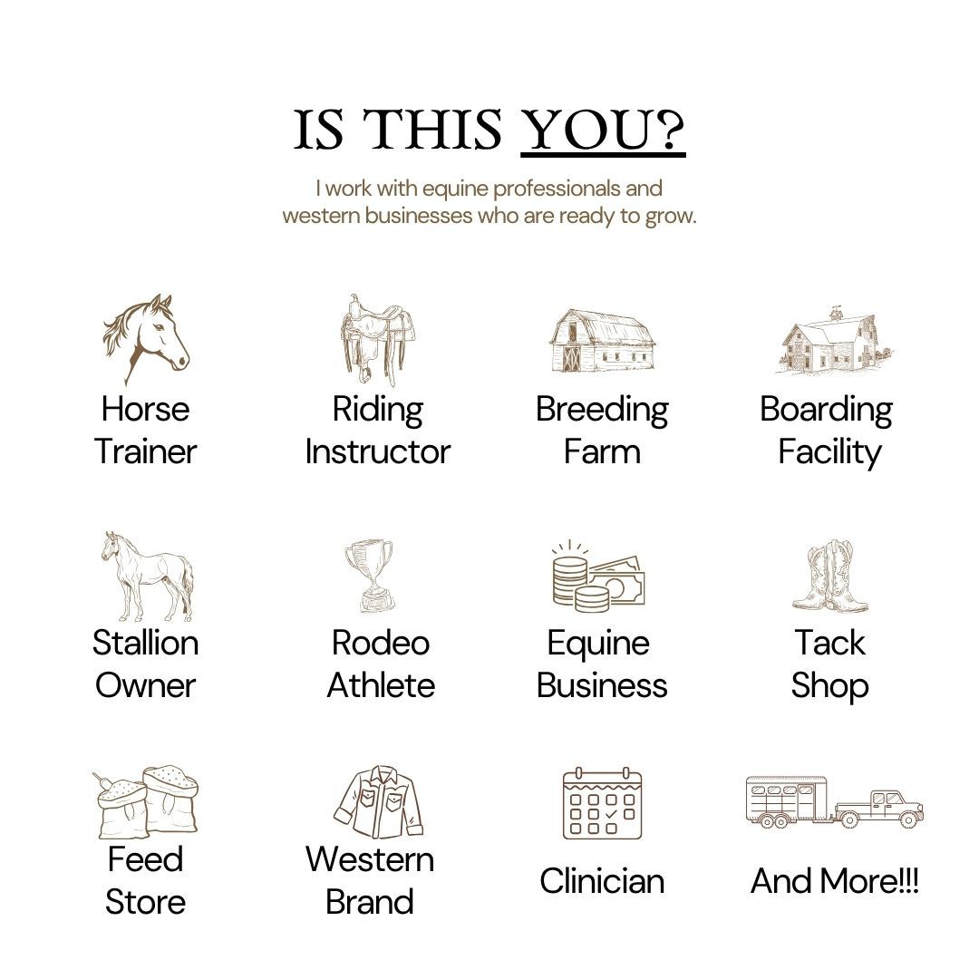 Infographic listing equine professionals including horse trainers, riding instructors, breeding farms, and western brands.