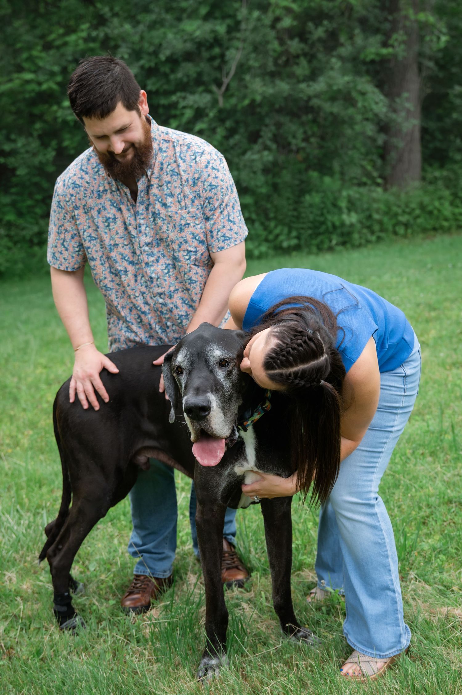 Couple petting a large black Great Dane dog outdoors on green grass with trees in background.