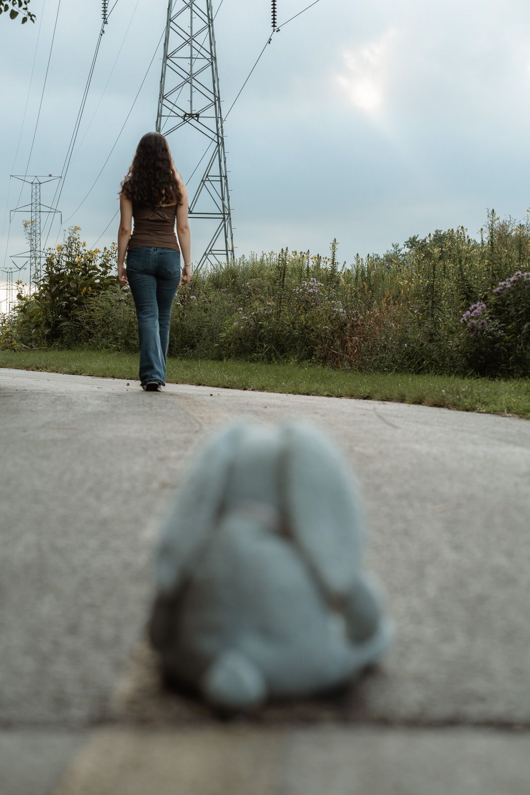 Woman walking away on a path near power lines with a forgotten stuffed bunny toy in the foreground.
