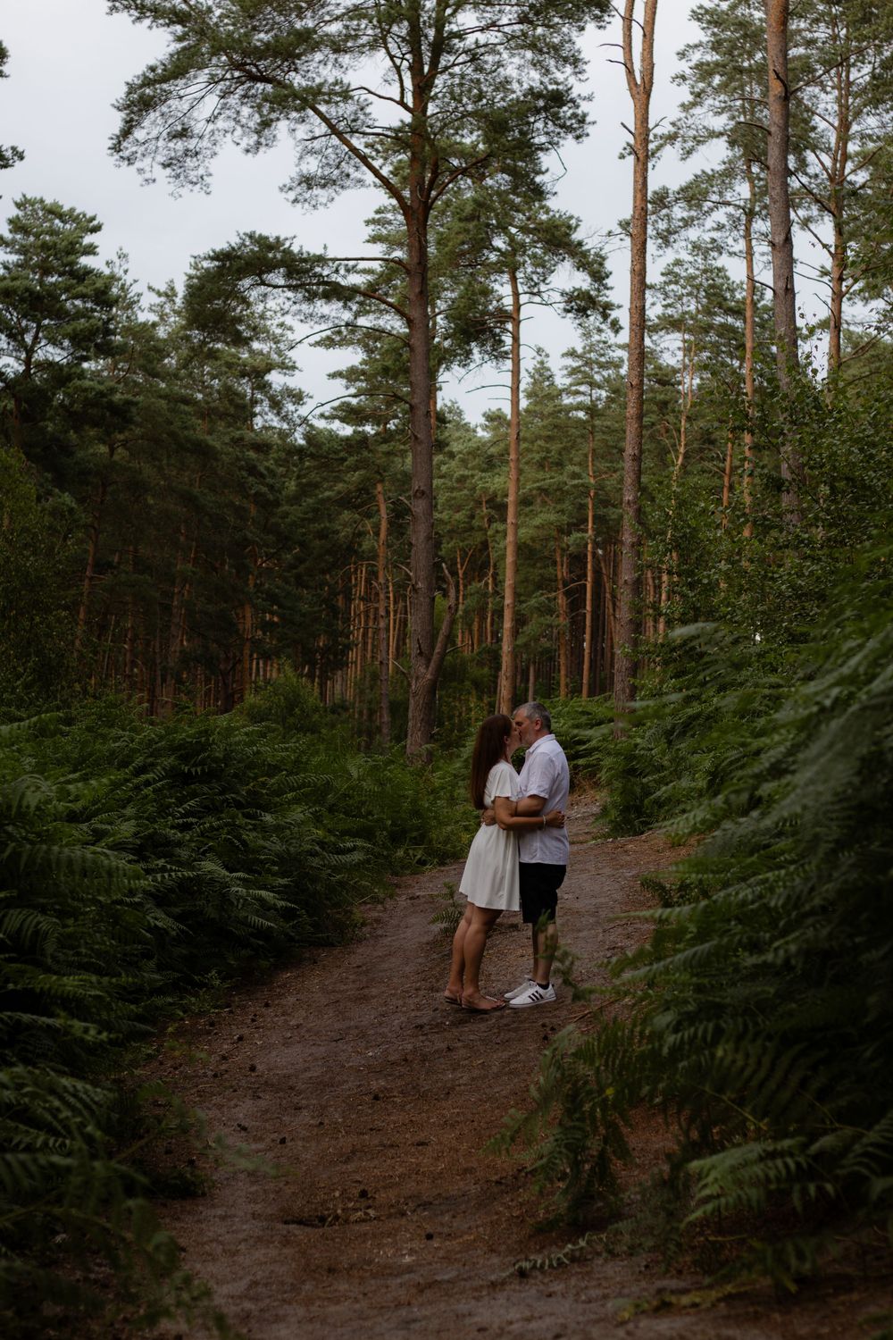 Couple embracing on a forest path surrounded by tall pine trees and lush green ferns.