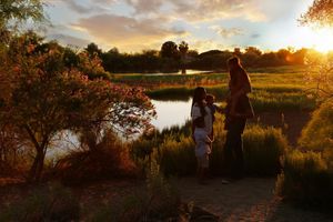 Parents with a baby stand beside a calm pond surrounded by golden autumn foliage and glowing sunset light.